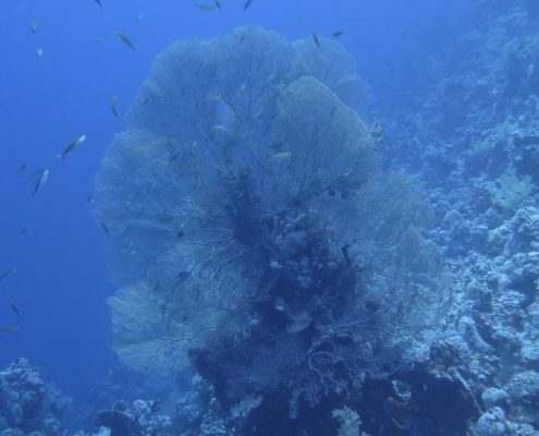 galerie_aegypten2018_001