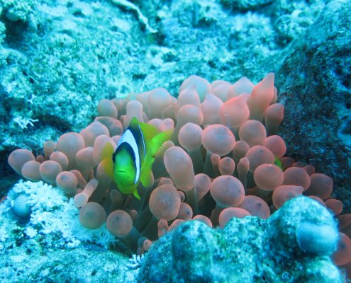 galerie_aegypten2018_002