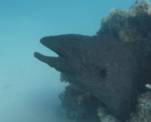 galerie_aegypten2018_003