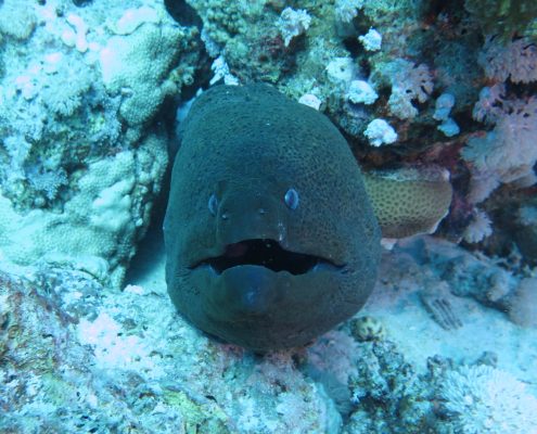 galerie_aegypten2018_010