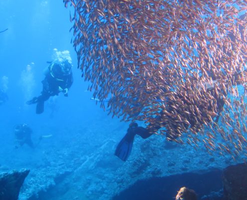 galerie_aegypten2018_014