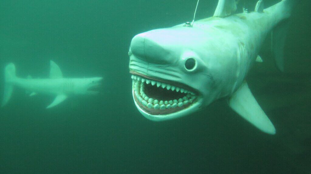 foto_ausflug_horka_01