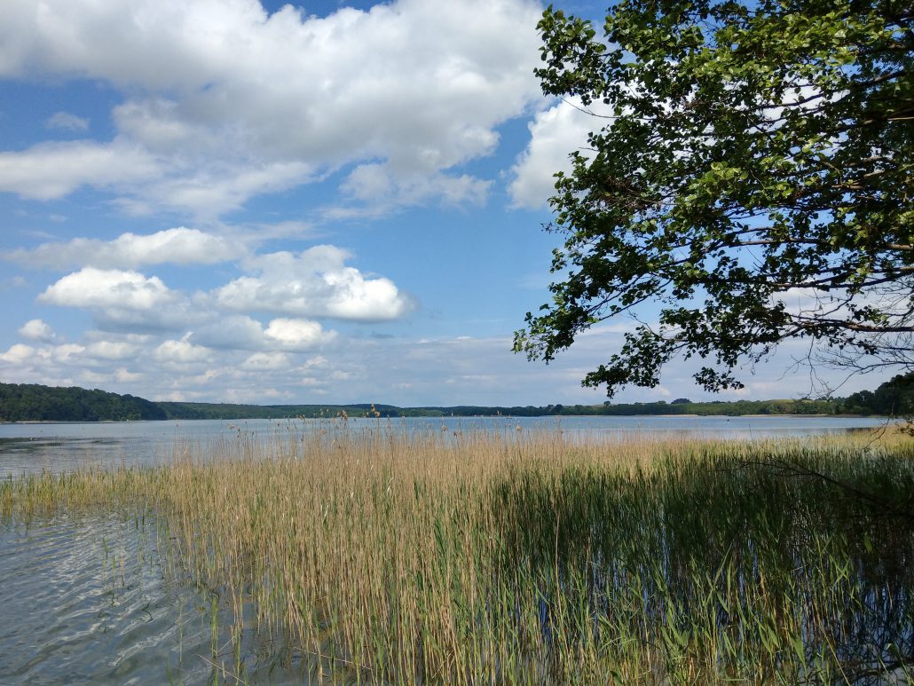 foto_ausflug_schmaler_luzin_2018_02